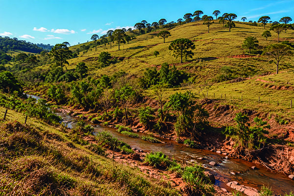 Imagem representando a degradação ambiental e a crise hídrica, destacando a importância do projeto Água Florestal da Associação Verde Esperança.